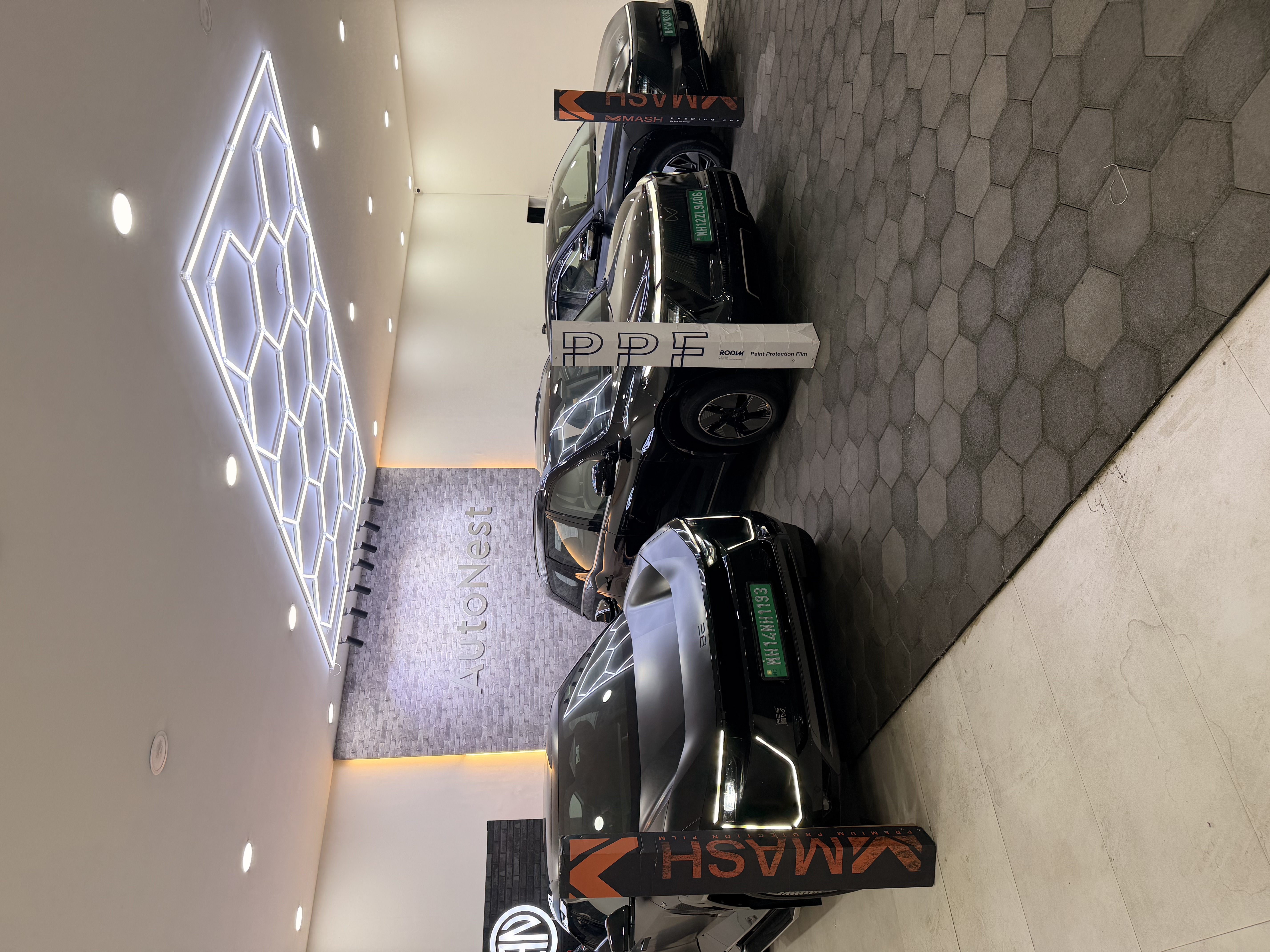AutoNest